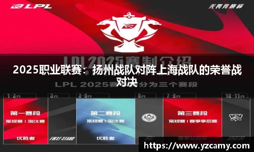 2025职业联赛：扬州战队对阵上海战队的荣誉战对决